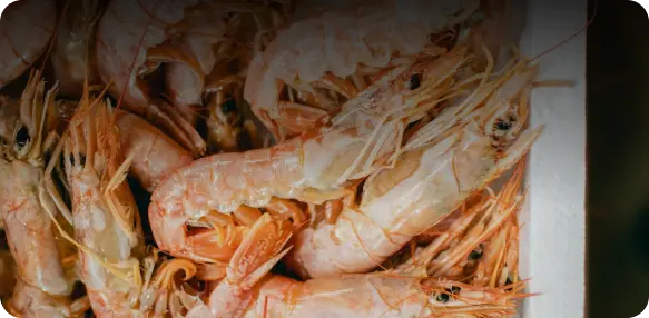 Морские и речные деликатесы