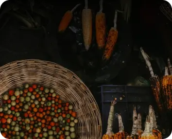 Продукты из Азии