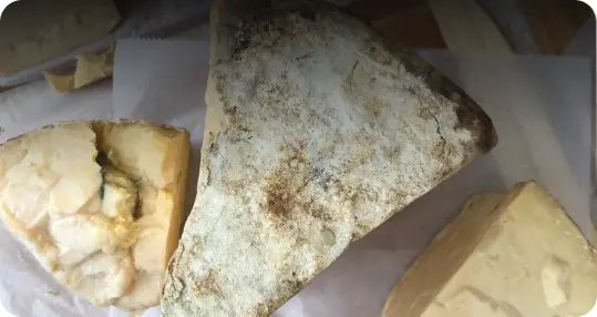 Сыры и молочные продукты
